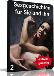 Ilona Melchner - Sexgeschichten für Sie und Ihn 2
