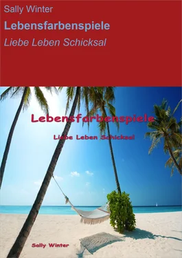 Sally Winter Lebensfarbenspiele обложка книги