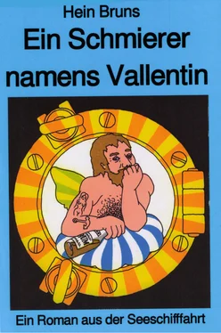 Hein Bruns Ein Schmierer namens Vallentin обложка книги