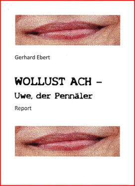 Gerhard Ebert WOLLUST ACH - Uwe, der Pennäler обложка книги