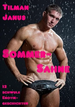 Tilman Janus Sommer-Sahne обложка книги