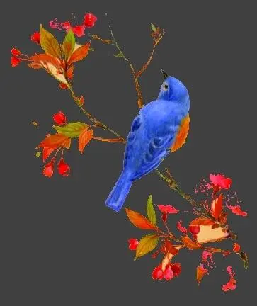 Und ein kleiner blauer Vogel begleitete Betty Lamotté ihr ganzes Leben lang - фото 2