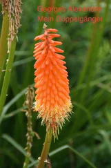 Georges Alexandre - Mein Doppelgänger