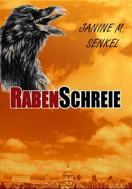 Janine Senkel (geb. Günther) Rabenschreie обложка книги