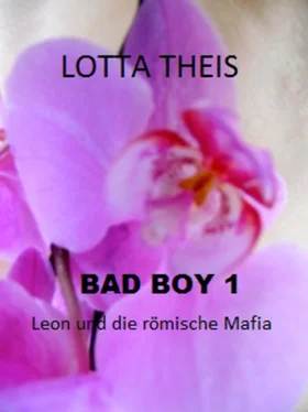 Lotta Theis Bad Boy 1 обложка книги