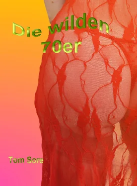 Tom Sore Die Wilden 70er обложка книги