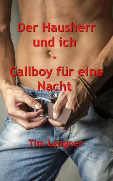 Tim Langner Der Hausherr und ich - Callboy für eine Nacht обложка книги