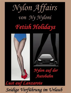 Ny Nyloni Fetish Holidays обложка книги