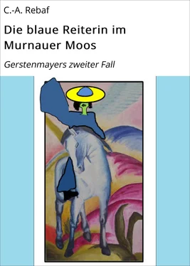 C.-A. Rebaf Die blaue Reiterin im Murnauer Moos обложка книги
