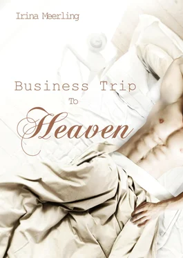 Irina Meerling Business Trip To Heaven обложка книги