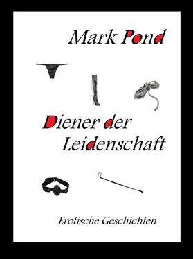 Mark Pond Diener der Leidenschaft обложка книги