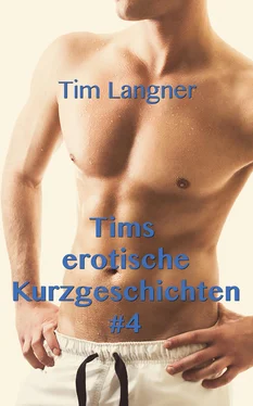 Tim Langner Tims erotische Kurzgeschichten 4 обложка книги
