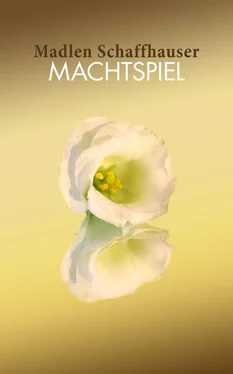 Madlen Schaffhauser Machtspiel обложка книги
