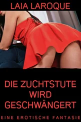 Laia Larocque - Die Zuchstute wird geschwängert