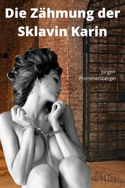 Jürgen Prommersberger Die Zähmung der Sklavin Karin обложка книги