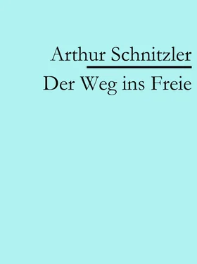 Arthur Schnitzler Der Weg ins Freie обложка книги