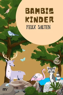 Felix Salten Bambis Kinder обложка книги