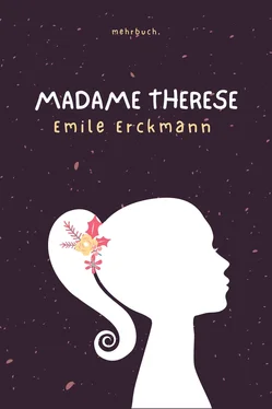 Emile Erckmann Madame Therese обложка книги