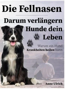 Annegret Ulrich Fellnasen-darum verlängern Hunde dein Leben обложка книги