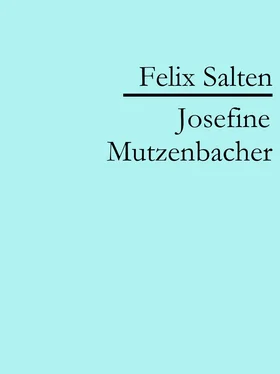 Felix Salten Josefine Mutzenbacher обложка книги