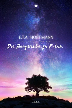 E.T.A. Hoffmann Die Bergwerke zu Falun обложка книги