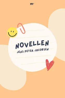 Jens Peter Jacobsen Novellen обложка книги