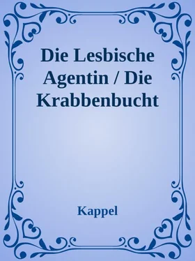 Kolja Kappel Lesbian Adventure / Die Krabbenbucht обложка книги