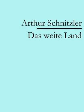 Arthur Schnitzler Das weite Land обложка книги