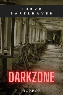Juryk Barelhaven DarkZone обложка книги