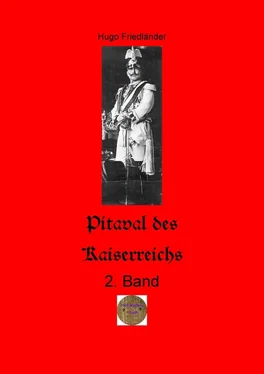 Hugo Friedländer Pitaval des Kaiserreichs, 2. Band обложка книги