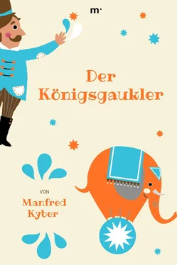 Manfred Kyber Der Königsgaukler обложка книги