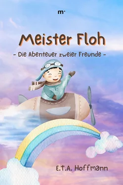 E.T.A. Hoffmann Meister Floh обложка книги