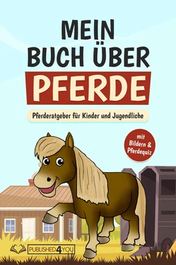 Carina Dieskamp Mein Buch über Pferde обложка книги