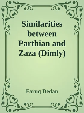 Faruq Dedan Similarities between Parthian and Zaza (Dimly) обложка книги