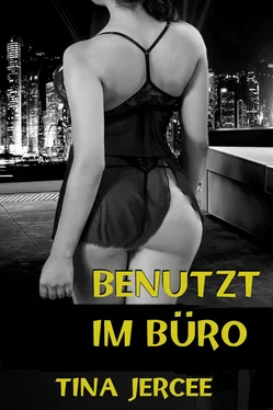 Tina Jercee Benutzt im Büro обложка книги