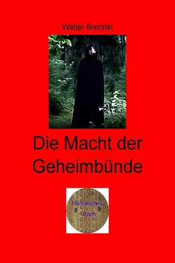 Walter Brendel Die Macht der Geimbünde обложка книги