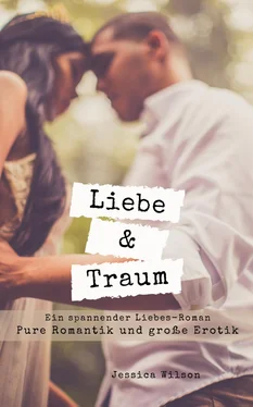 Jessica Schwarz Liebe & Traum обложка книги