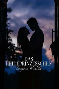 Eugenie Marlitt Das Heideprinzesschen обложка книги