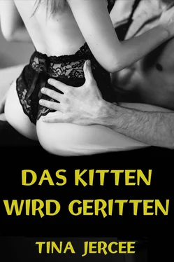 Tina Jercee Das Kitten wird geritten обложка книги