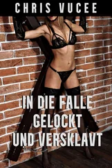 Chris Vucee - In die Falle gelockt und versklavt