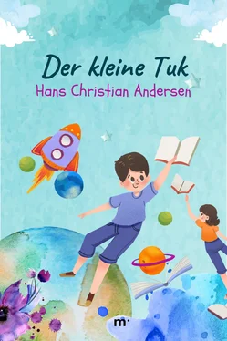 Hans Christian Der kleine Tuk обложка книги