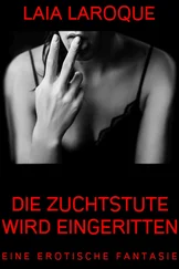 Laia Larocque - Die Zuchtstute wird eingeritten
