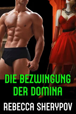 Rebecca Sherypov Die Bezwingung der Domina обложка книги