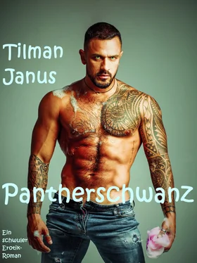 Tilman Janus Pantherschwanz обложка книги