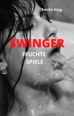 Emilie King SWINGER - Feuchte Spiele обложка книги