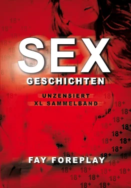 Fay Foreplay Sexgeschichten ab 18 - Unzensiert // XL Sammelband обложка книги
