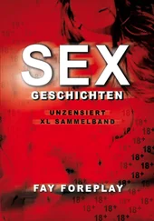 Fay Foreplay - Sexgeschichten ab 18 - Unzensiert // XL Sammelband