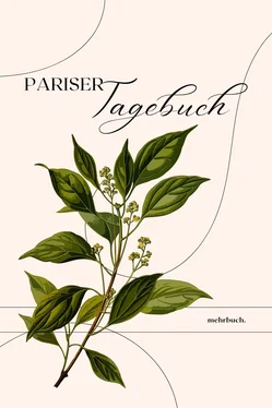 Theodor Wolff Pariser Tagebuch обложка книги