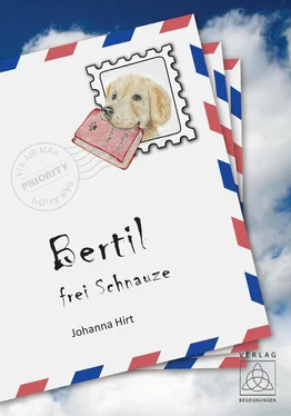 Johanna Hirt Bertil - frei Schnauze обложка книги