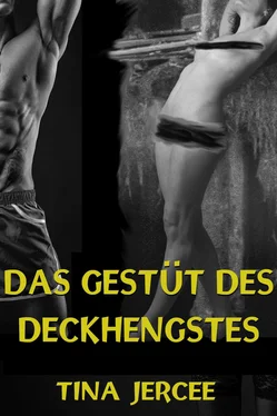 Tina Jercee Das Gestüt des Deckhengstes обложка книги